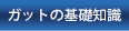 ガットの基礎知識
